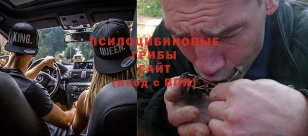 индика Беломорск