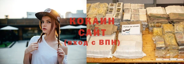 индика Беломорск
