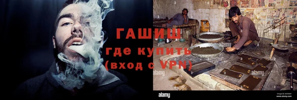 индика Беломорск