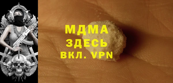 индика Беломорск