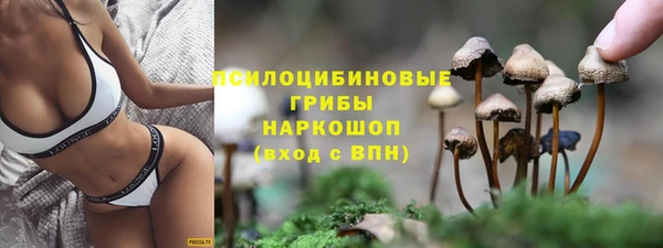 индика Беломорск
