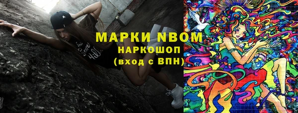 крисы Белокуриха