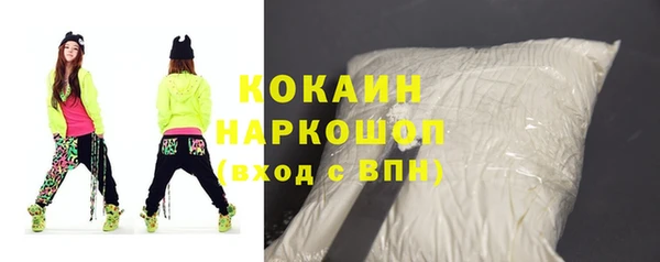 индика Беломорск