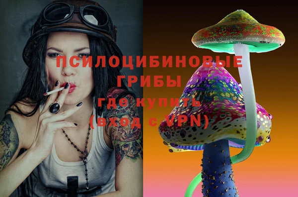 крисы Белокуриха