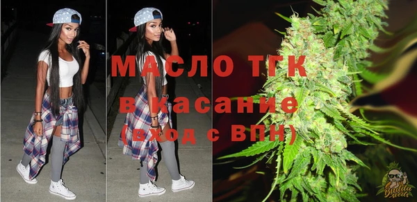 индика Беломорск