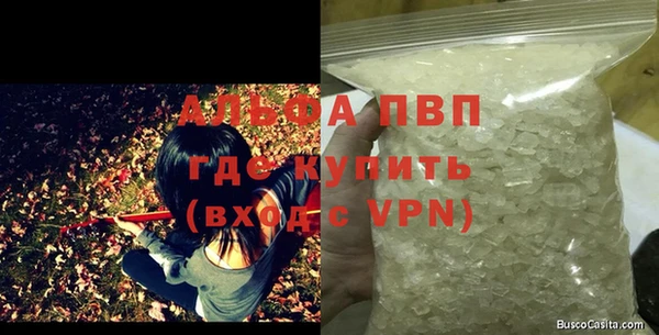 крисы Белокуриха