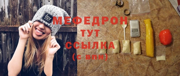 индика Беломорск