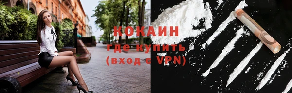 индика Беломорск