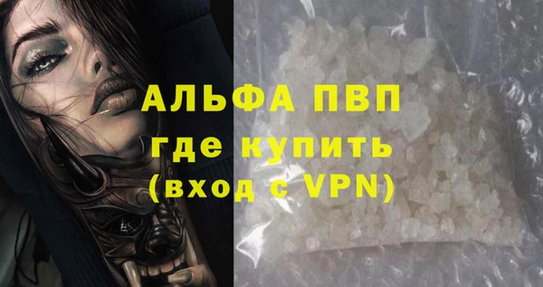крисы Белокуриха