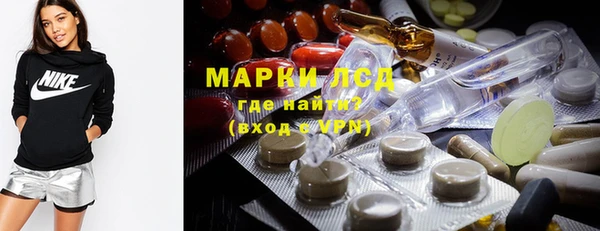 индика Беломорск