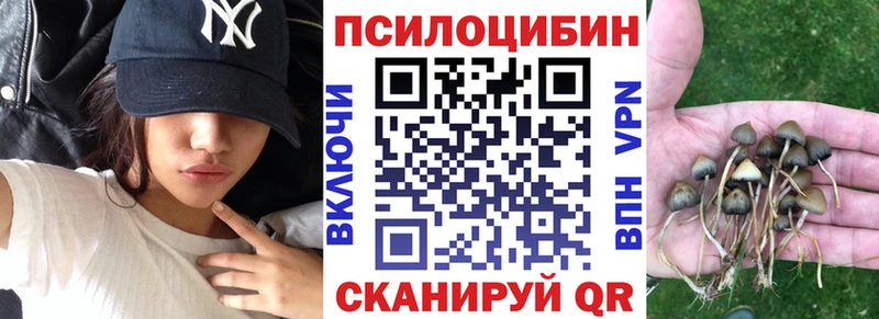 Галлюциногенные грибы мухоморы  Вытегра 