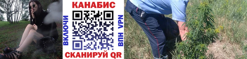 mega   Вытегра  Канабис ГИДРОПОН 